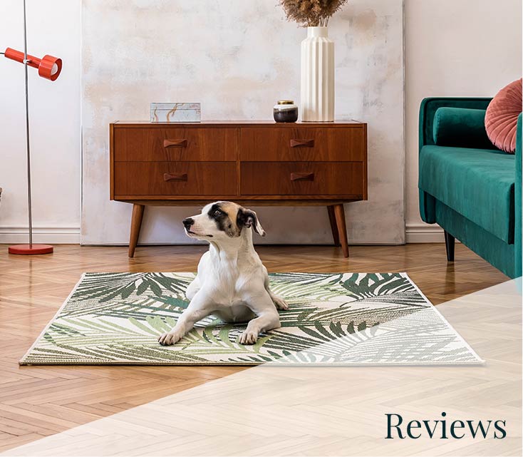 Reviews